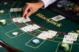 Hasil live casino Evolution Gaming di platform bigbet78